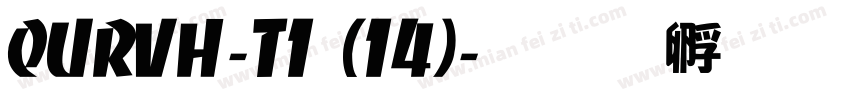 QURVH-T1 (14)字体转换